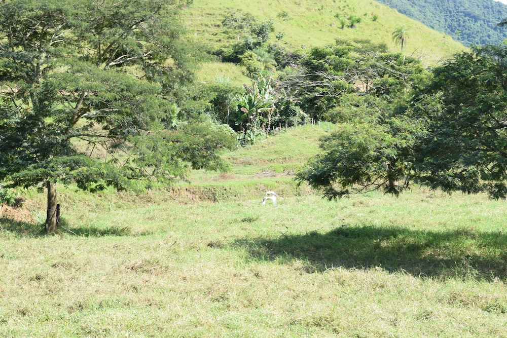 Fazenda São Fernando