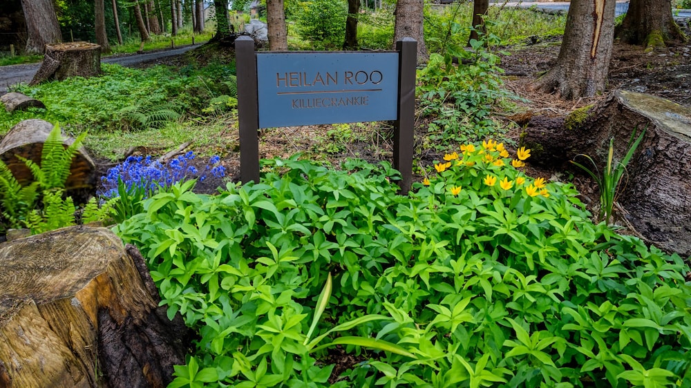 Heilan Roo