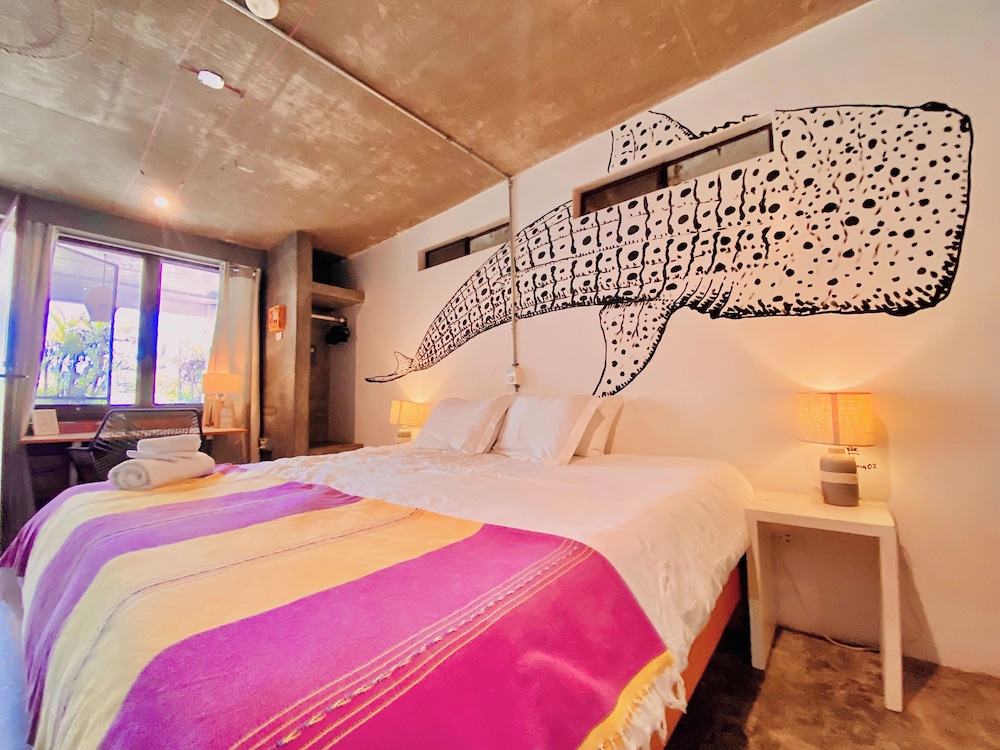 Perro Surfero Hotel Boutique - Todos Santos, BCS