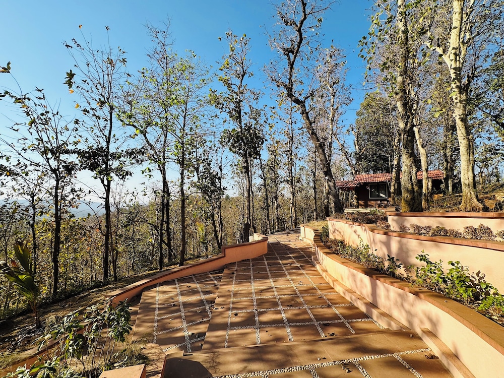Wild heaven Glamping And Resort Saputara
