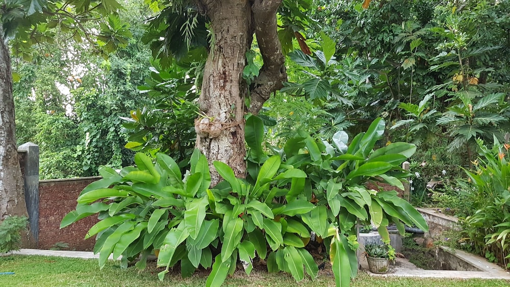 Siriniwasa Villa Induruwa