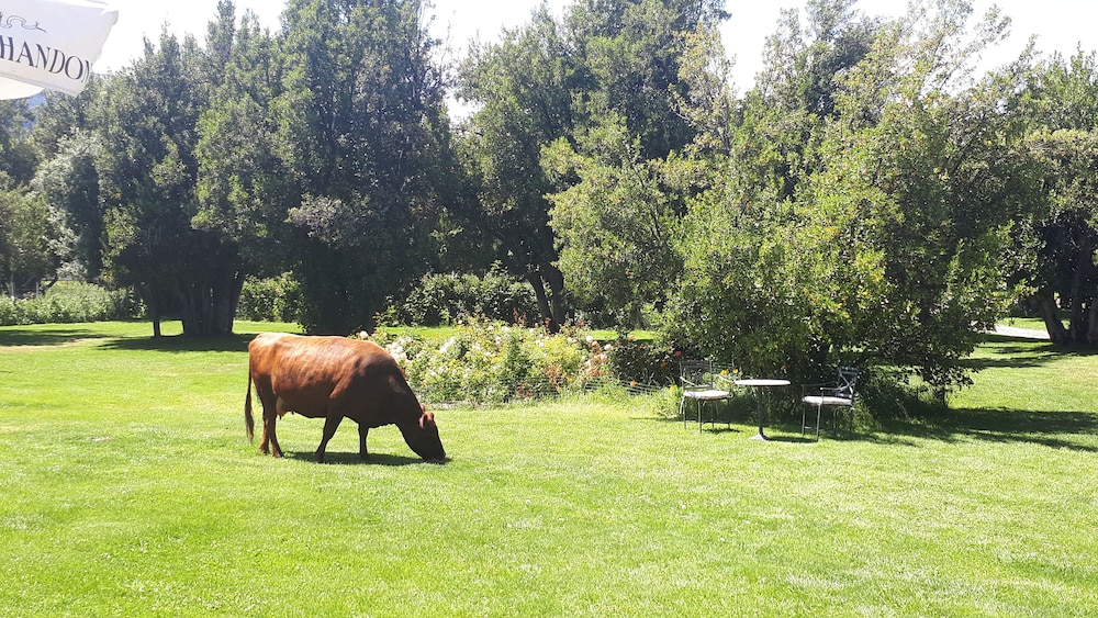 La Morada Lodge & Glamping - Meliquina