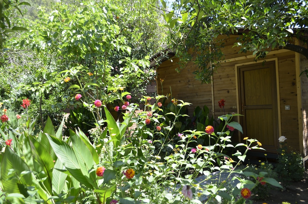 Olympos Mercan Bungalow