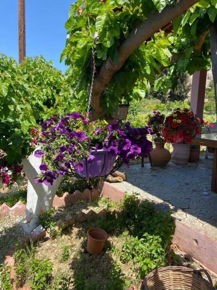 Villa Lilandion Luxury and Privacy, photo 95