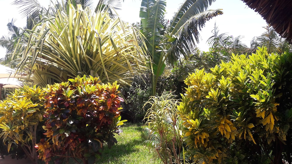 Photo 49