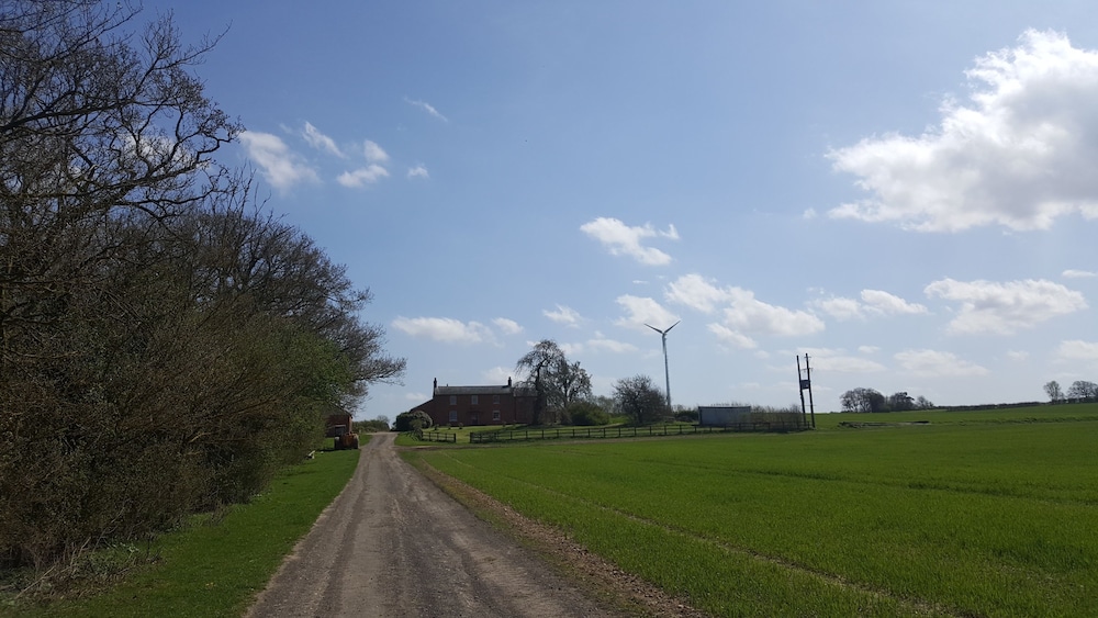 Photo 19