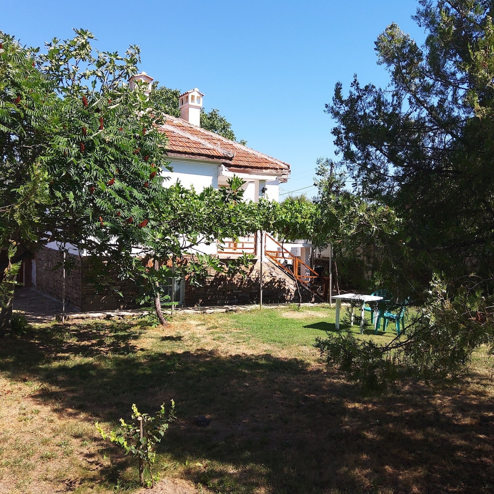 House Sleeps 6-garden-freeparking-bbq-patio-petsok