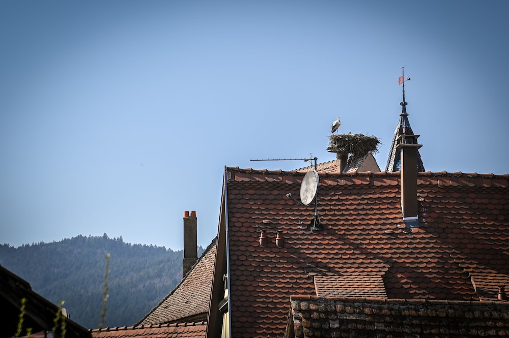 Hameau D'eguisheim, Billede 55