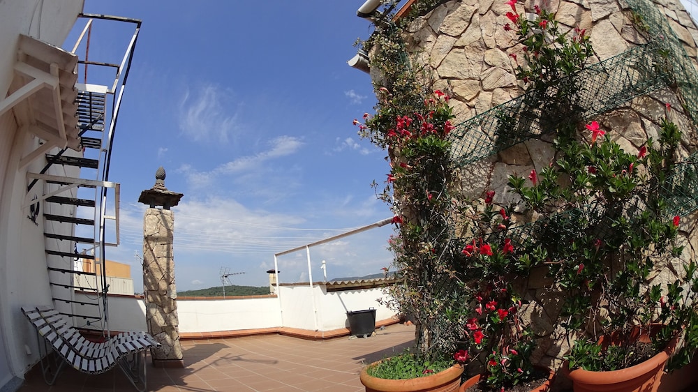roof