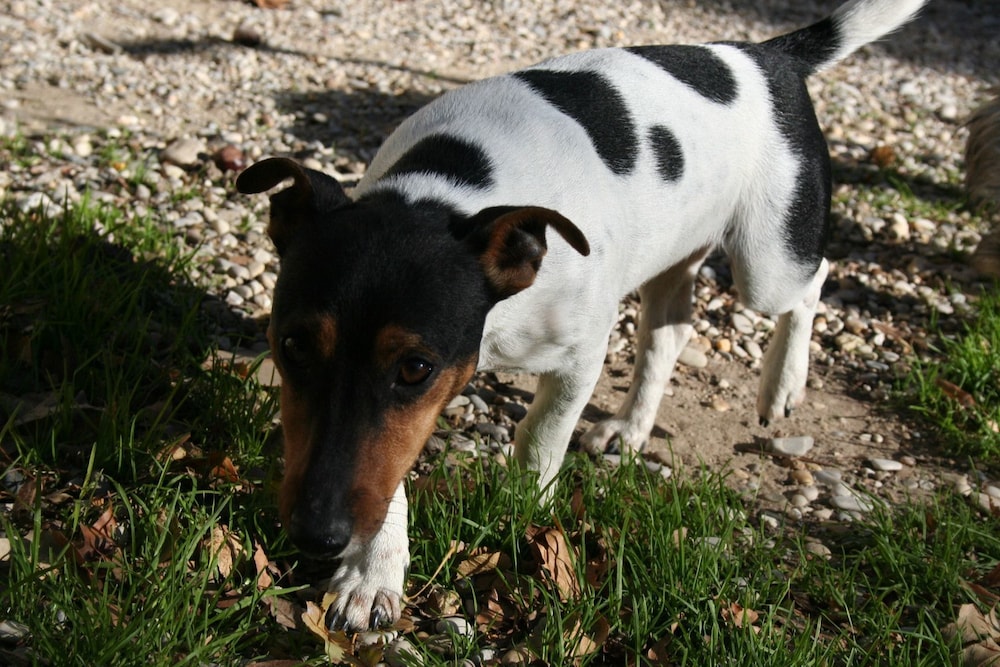 Photo 11