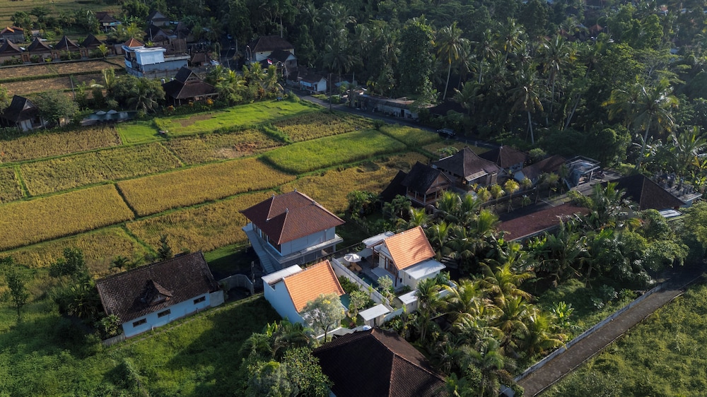 The Lok's Villa