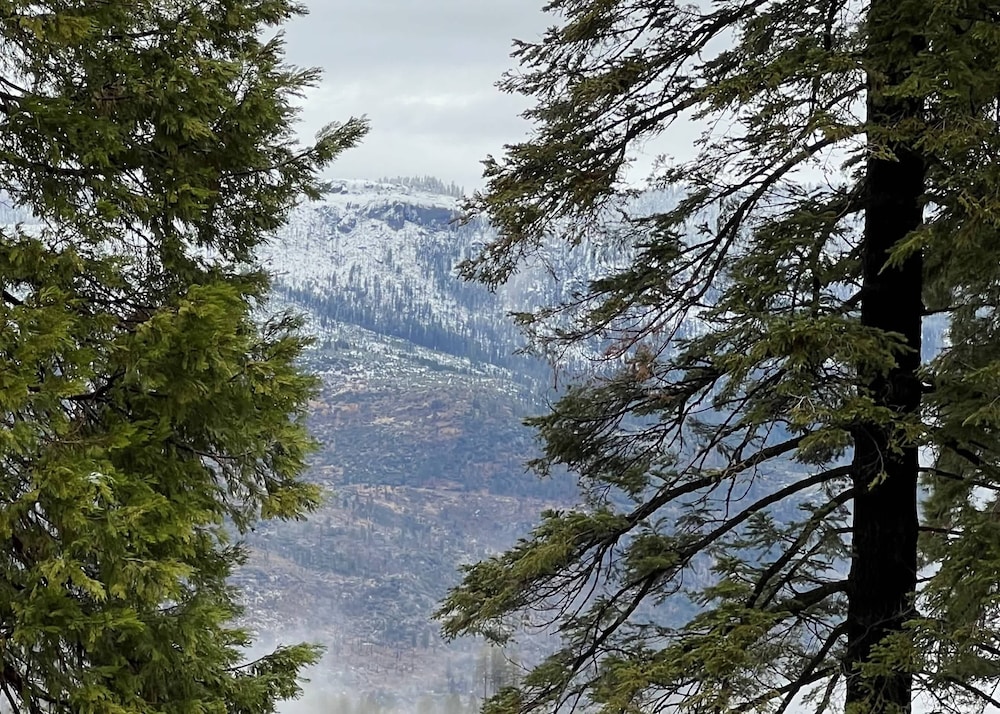 Yosemite Quail - Nestled in With a View!
