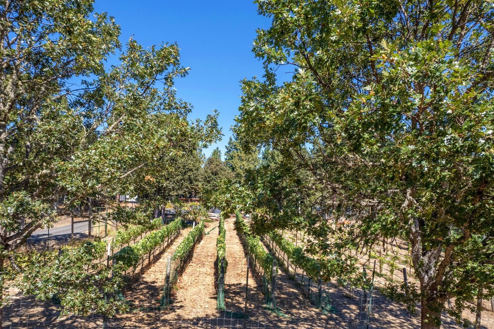 Happenstance Vineyards 2 Bedroom Home