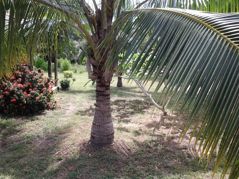 Barbara's Village