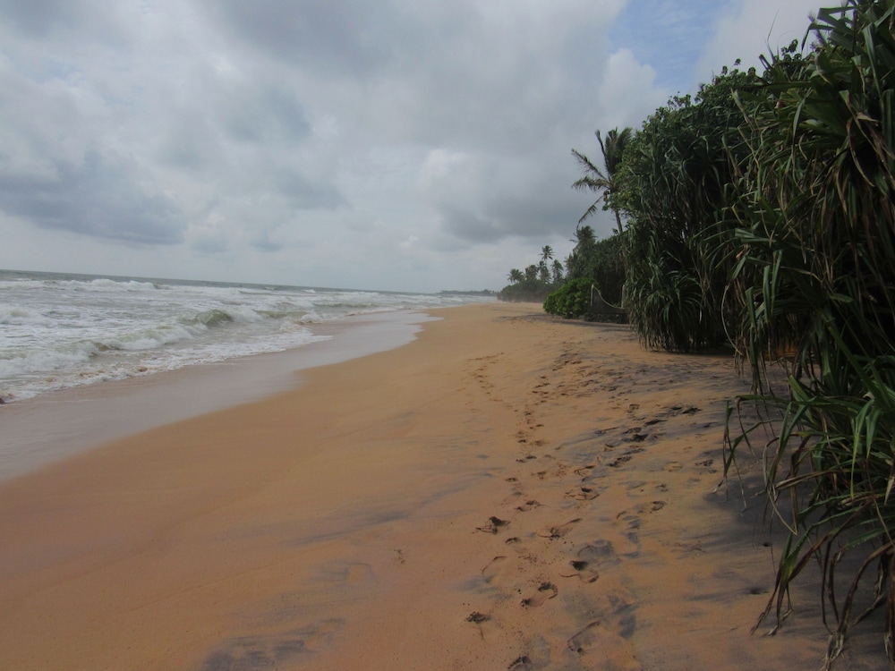 Leatherback Beach Villa