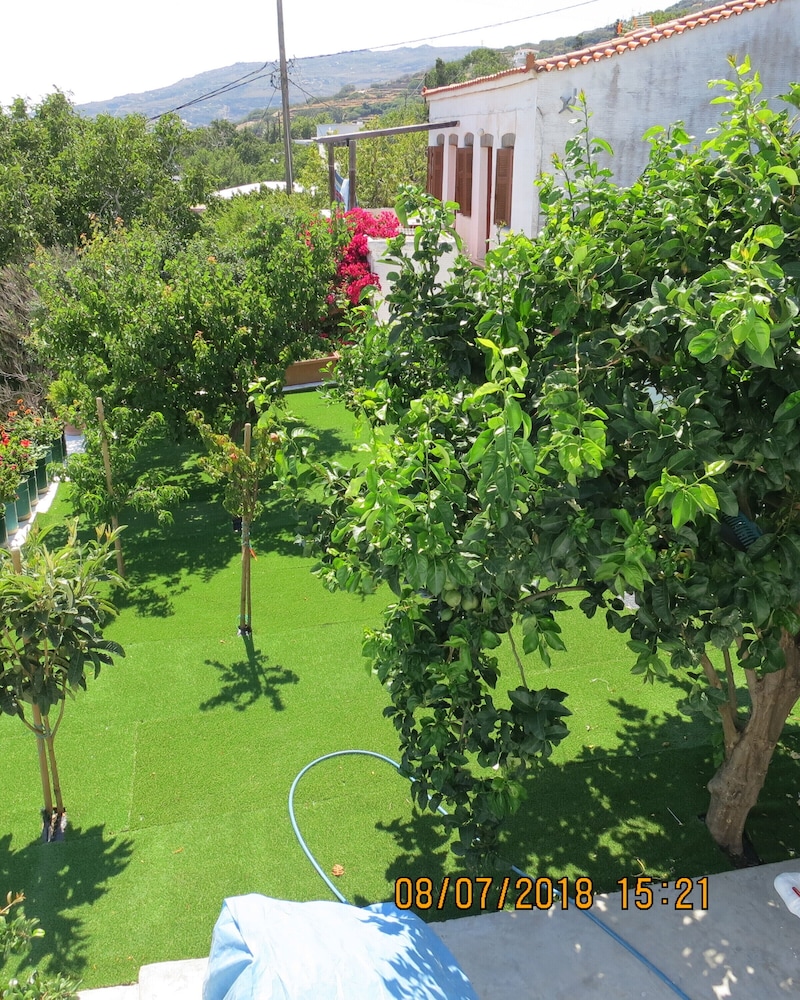 Photo 19