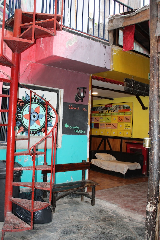 The Grapevine Hostel