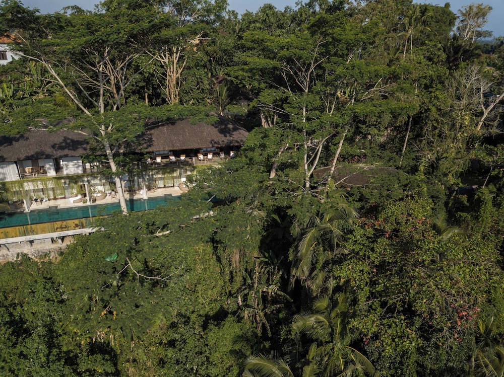 The Hidden Paradise Ubud