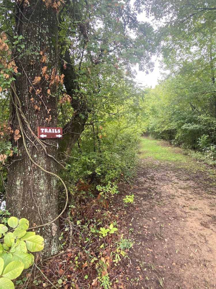The Woods Lodging