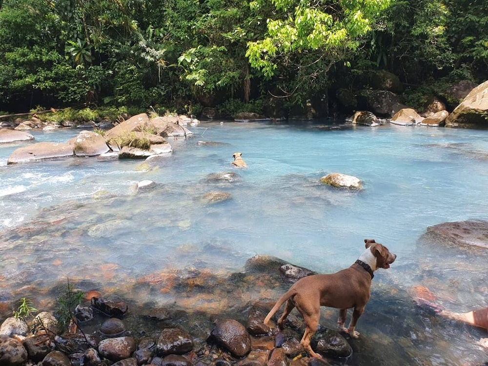 Pura Vidaville - Hiker's Hideaway