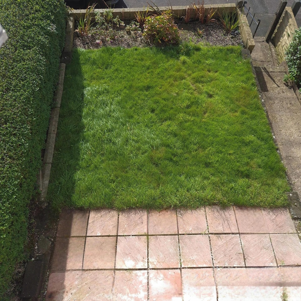 Tranquil Three-bedroom House-large Garden-wifi