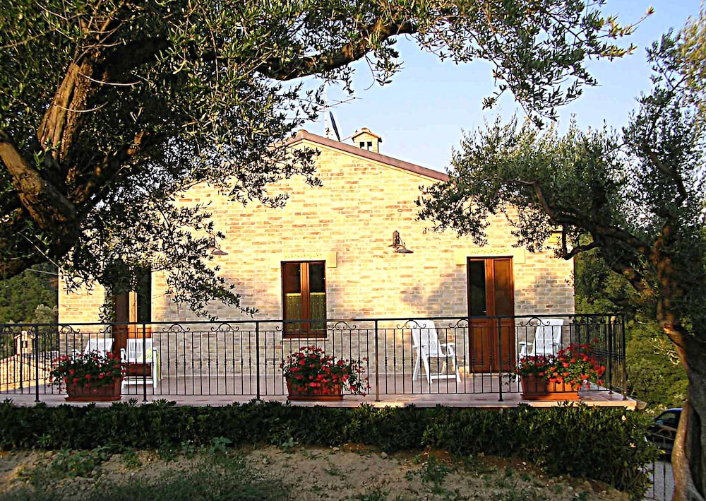 La Cicala