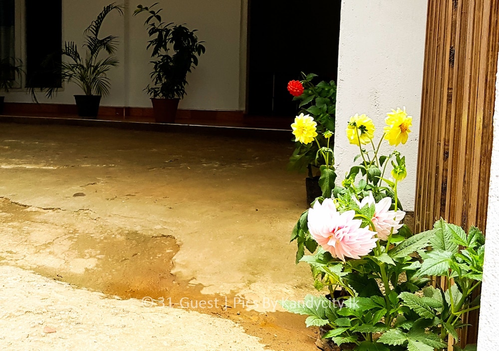 31 Kandy Guest House view 4