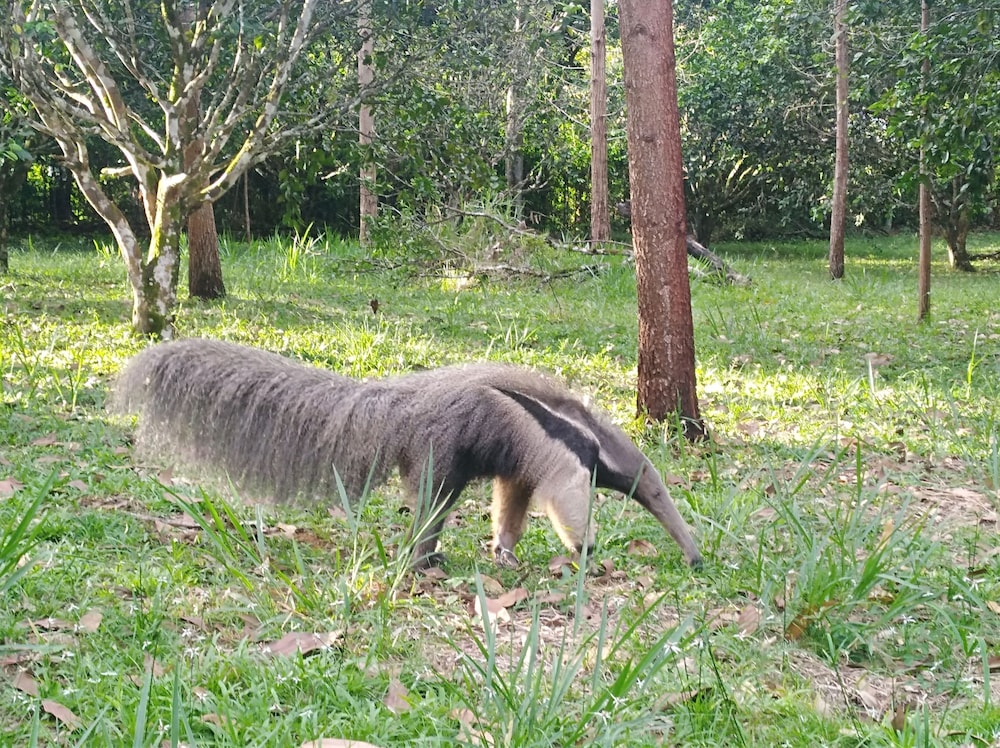 Photo 46
