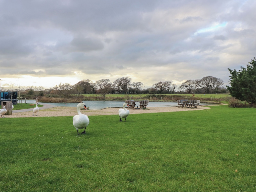 Dunlin Walk 13