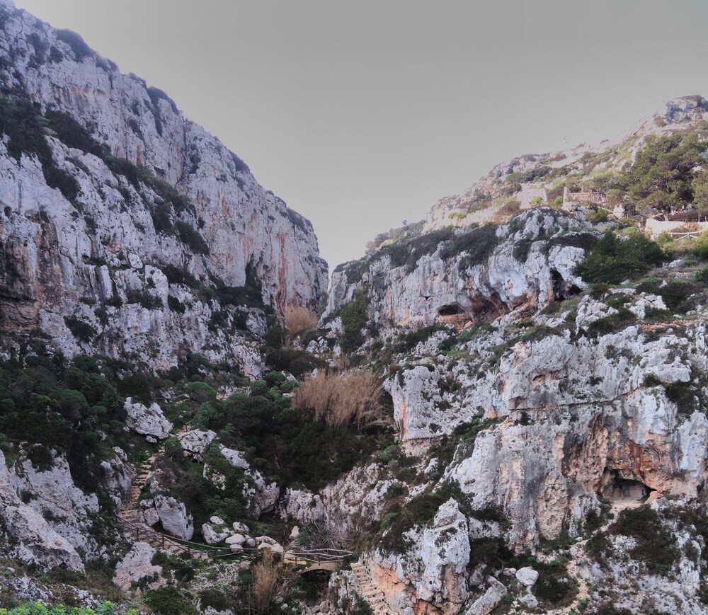 Castle XVIII