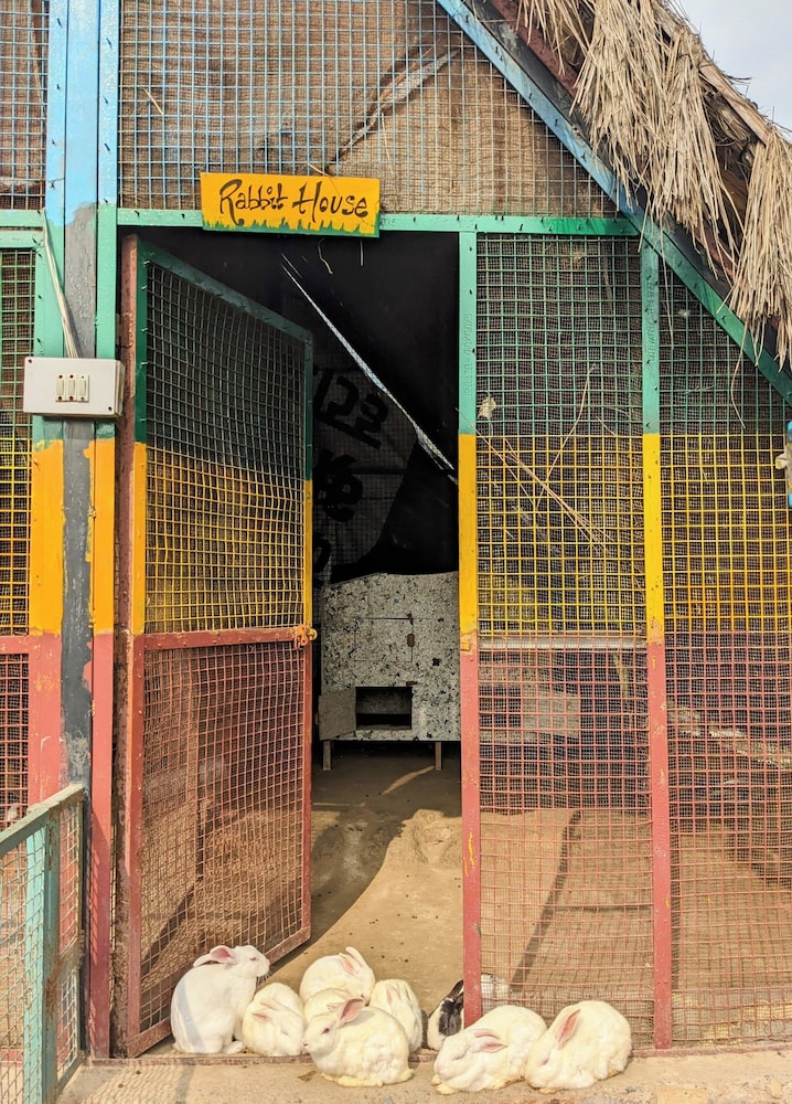 Tuk Tuk Gilhari Noida