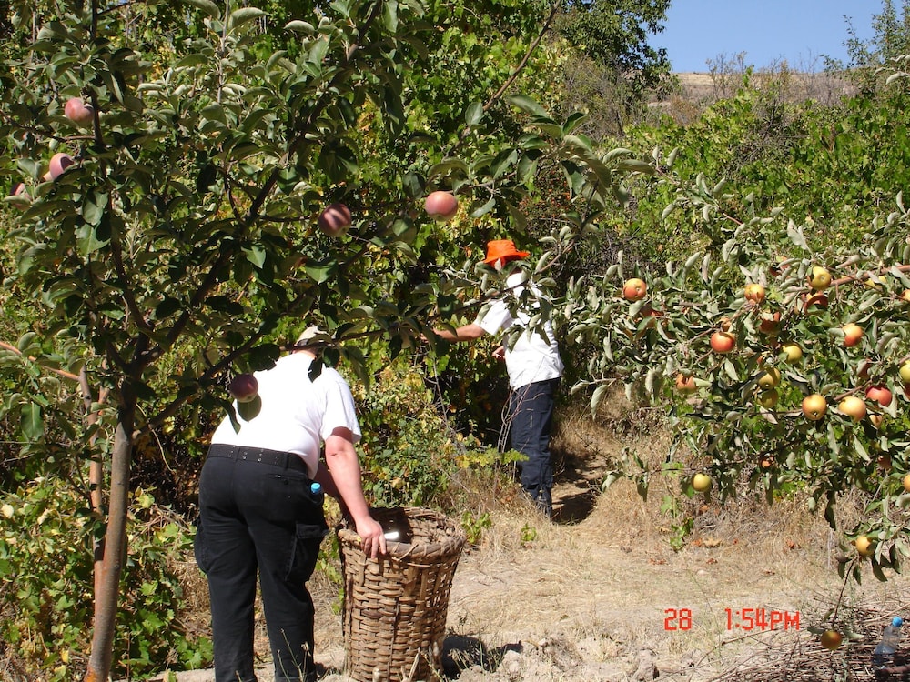 Photo 20