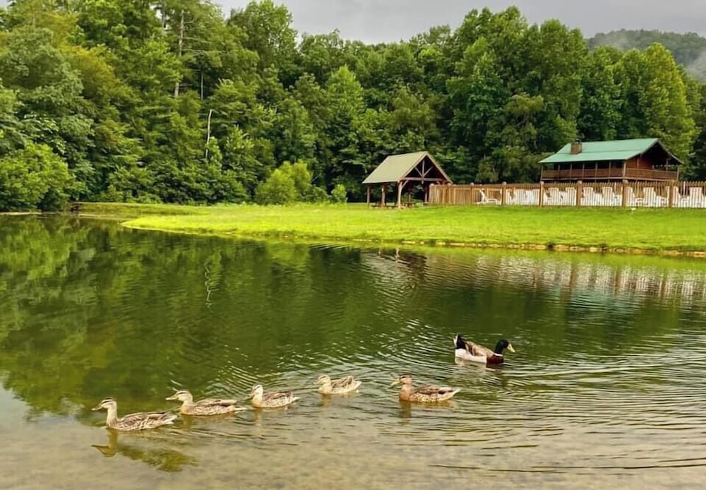 Adventure Lodge