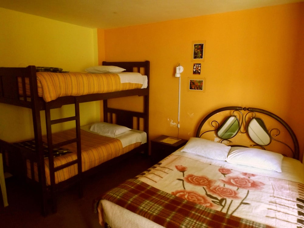 El Manzano Hostel view 5