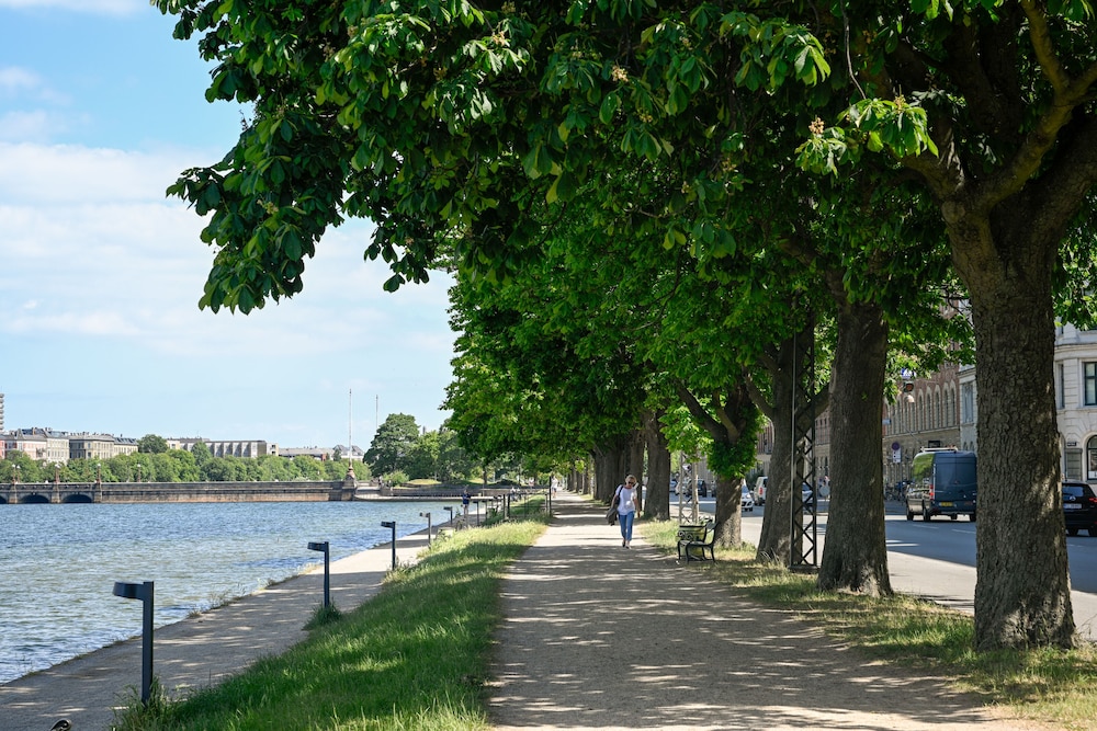 Spacious 3-bedroom Apartment With a Rooftop Terrace in the Center of Copenhagen view 5