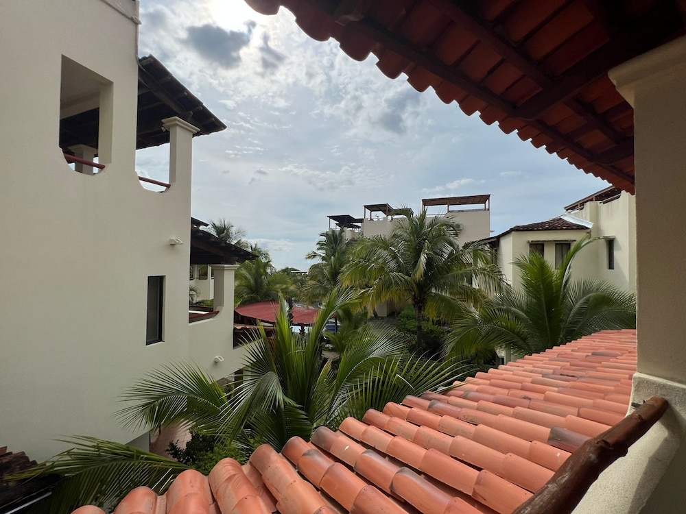 Tropical Gardens