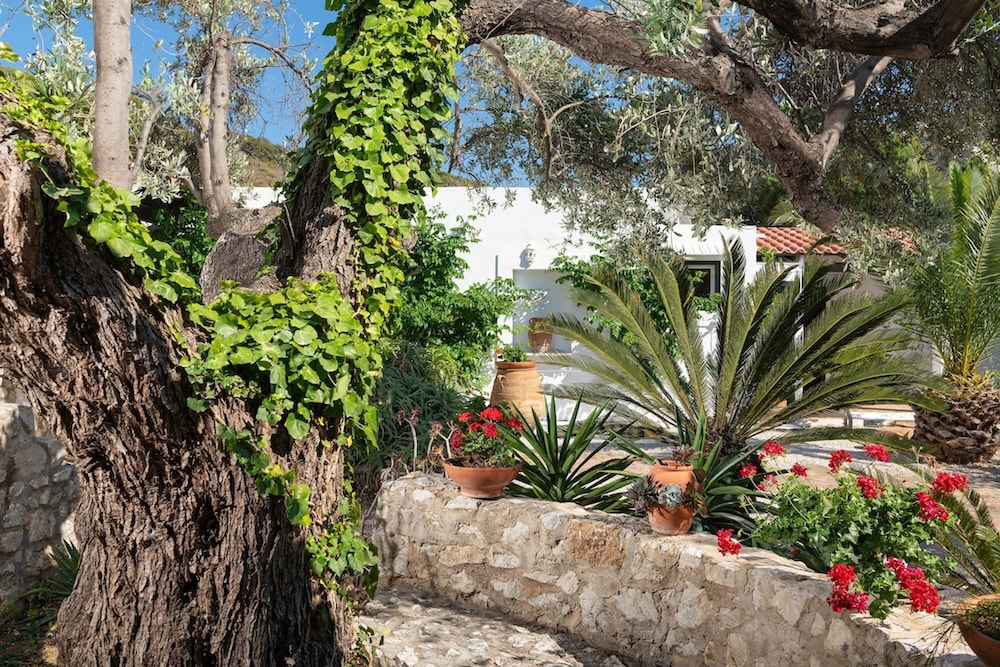 Los Olivos Los Olivos