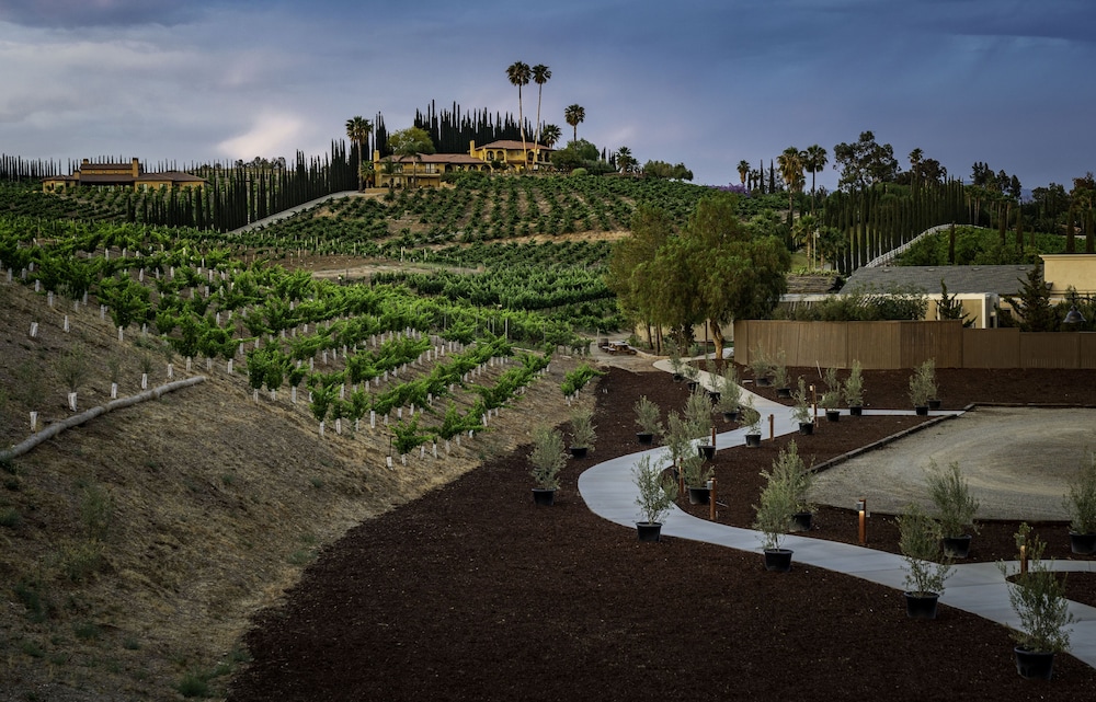 Europa Village Wineries and Resort