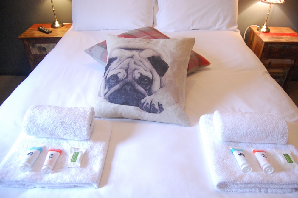 The Pug & Greyhound