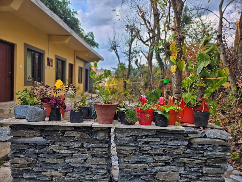 Dhauladhar Inn
