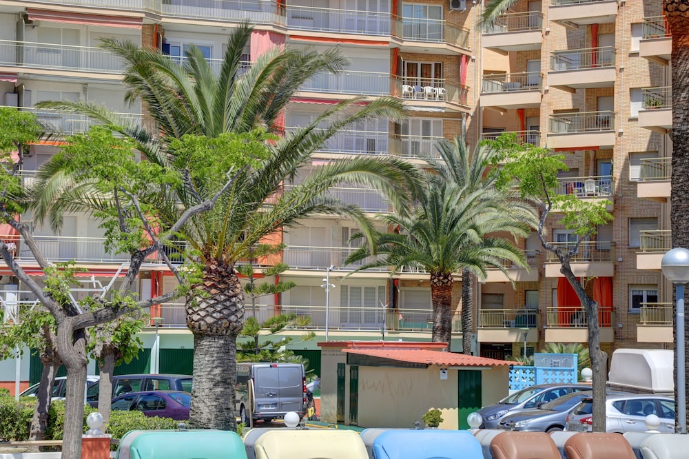 Alea Rentals - Cye view 3