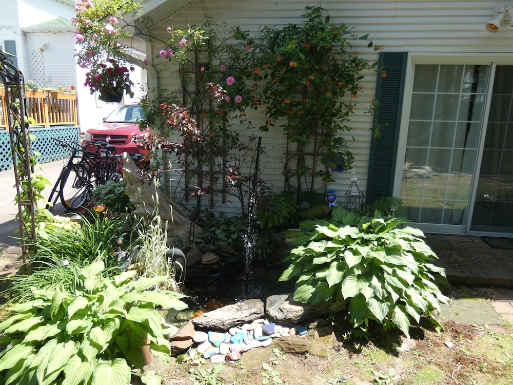 Photo 52