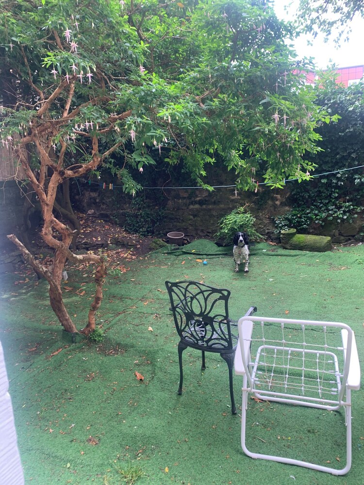 Photo 11