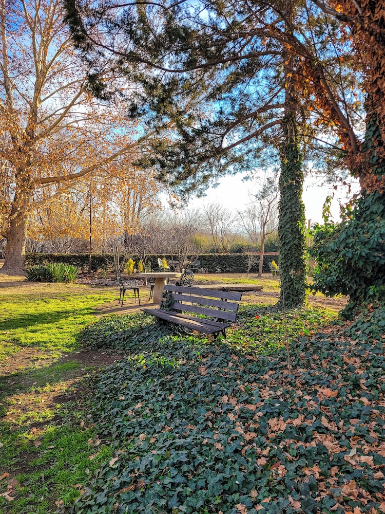 Finca La Saucina