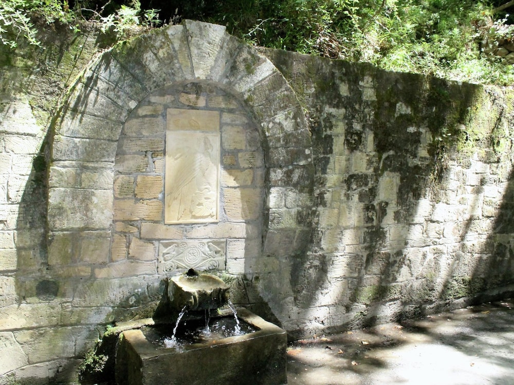 Photo 22