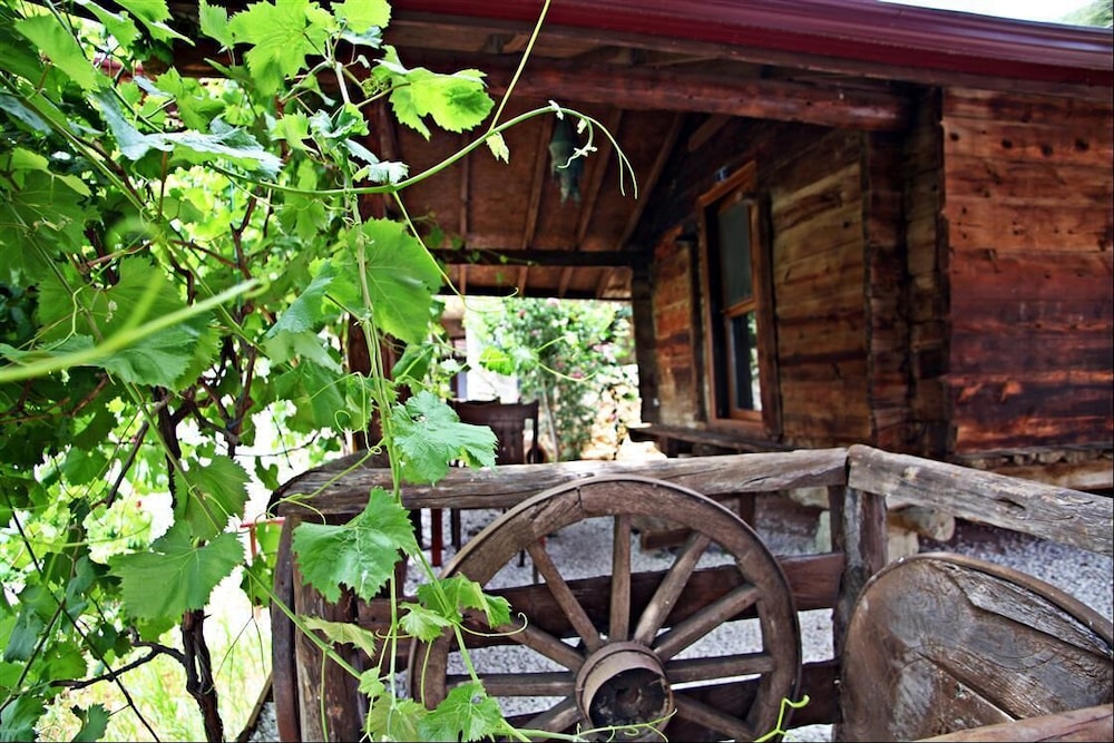 Kas Dogapark Otel - Image 21