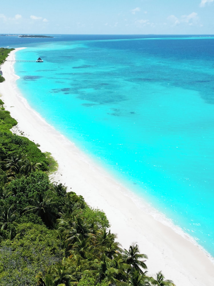 Blue Coral Vashafaru