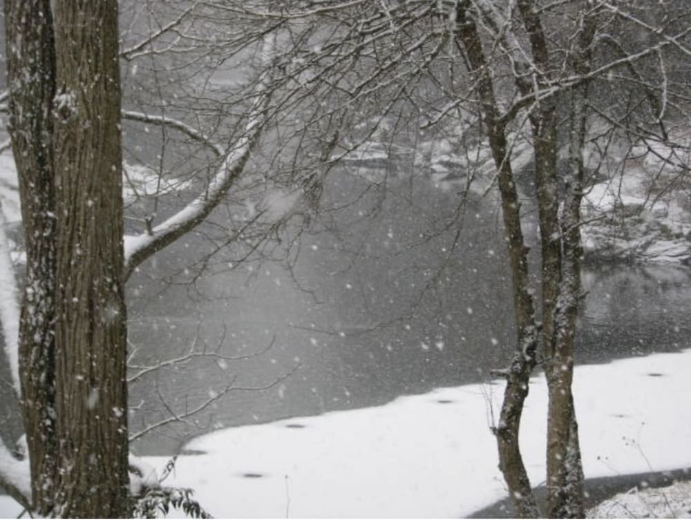 Linville River Log Cabins