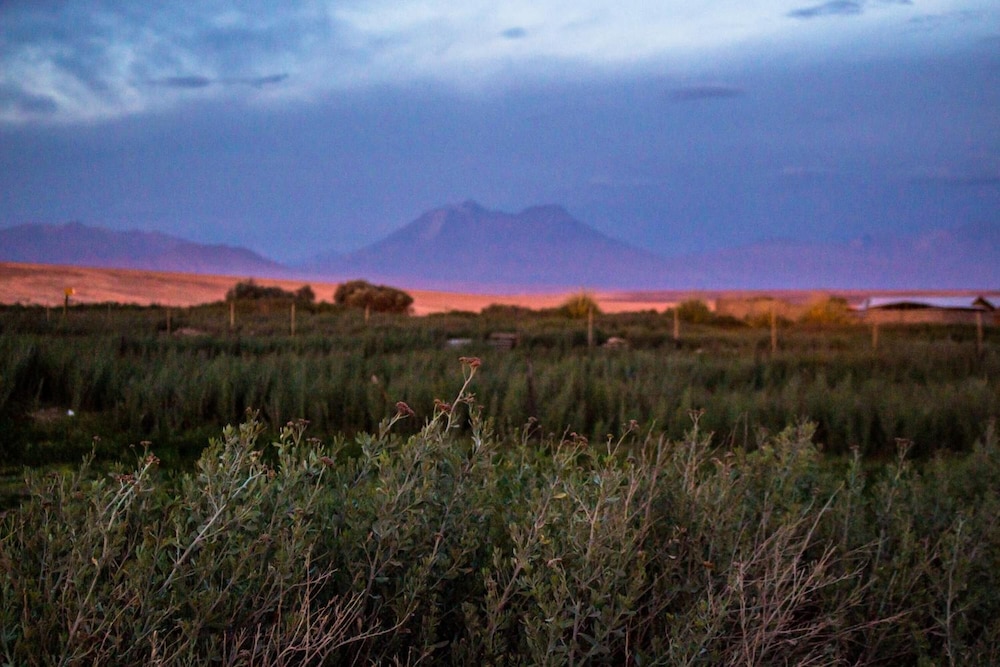 Sol del Desierto