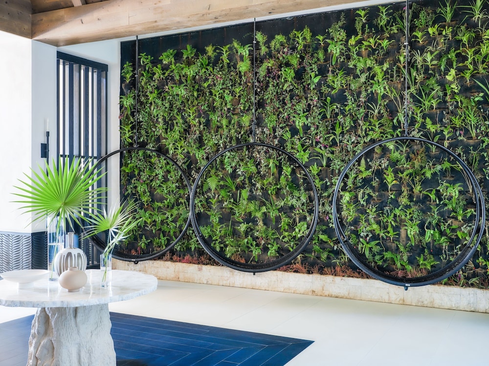 Kimpton Grand Roatan Resort And Spa by IHG - Photo 147
